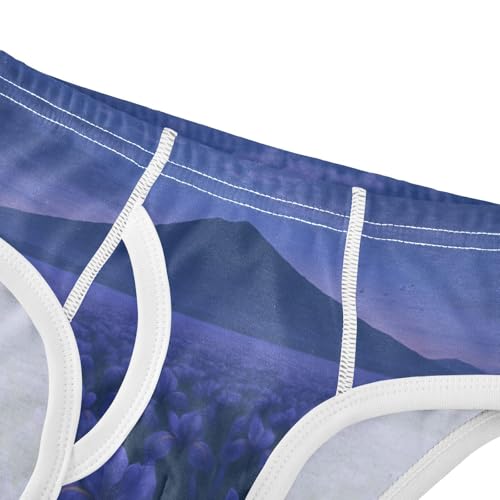 GuoChe Toddler Boy Briefs Soft Cotton in Sizes 2T,3T, 4T, 5T, 6Y and 8Y4