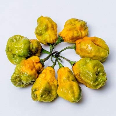 Gator Squeezin Hot Sauce #TOP3