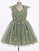 IMEKIS Fairy Dress Girls: Toddler Butterfly Tulle Kids 9th 10th Birthday Outfit Smash Cake Photoshoot Baby Formal Wedding Guest Tea Party Easter Thanksgiving Pageant Gown Sage Green Floral 9-10 Years
