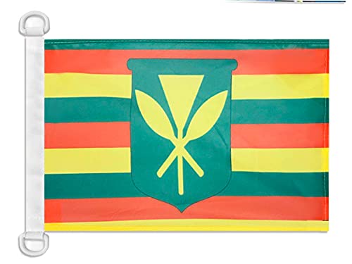 AZ FLAG Hawaii Kanaka Maoli Boat Flag 45x30 cm Mesh Polyester Plastic Rings — image 1