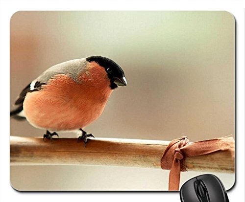 Preisvergleich Produktbild Ein palmer spring_bird mouse pad