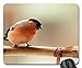 Produktbild Ein palmer spring_bird mouse pad