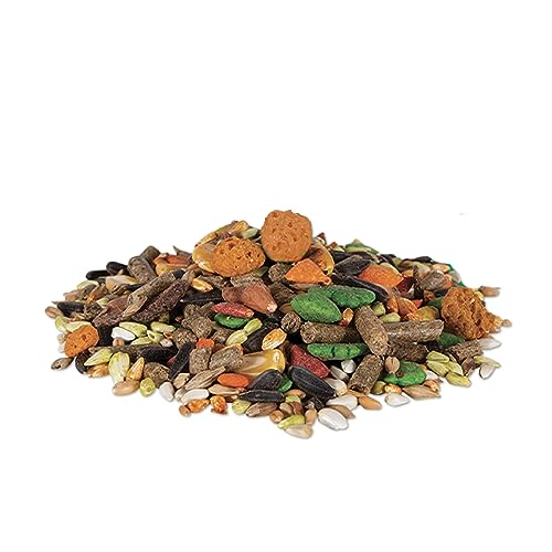 Wild-Harvest-Trail-Treats-11-oz