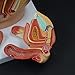 Teaching Model Tools,Female Reproduction System Model Female Gender Organs Model Anatomy Model Female Pelvic Uterus Medical Gynaecology Sagittal Model of Human Female Pelvis 33 X 2