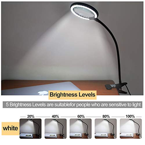 DUDSOEHO 3X Daylight LED Magnifying Lamp, Clamp Magnifying Glass with 6 Adjustable Light Setting for Reading, Seniors, Hobbies, Craft