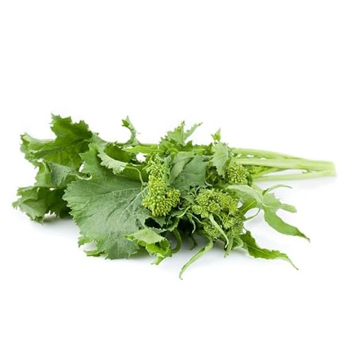 La zappa Semi di cima di Rapa piante per orto e giardino (Leccese novantina)