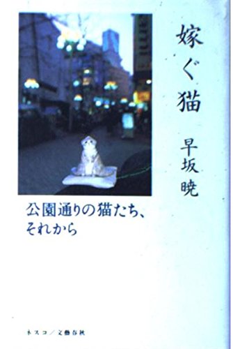 嫁ぐ猫: 公園通りの猫たち、それから