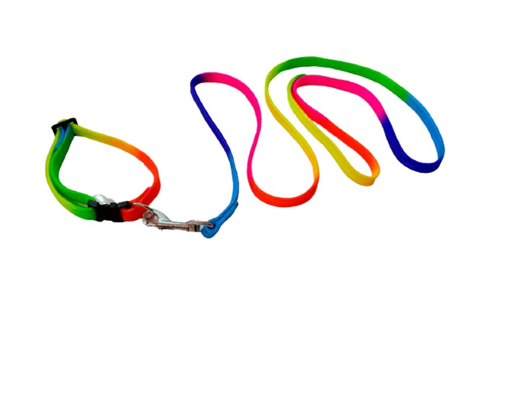 See full amazon price history chart for PetWag Nylon Multicolor Dog Leash and Collar Set, for Small & Puppy Breeds PetWag Nylon Multicolor Dog Leash and Collar Set, for Small & Puppy Breeds (B097RCWS73) Amazon Price History, Amazon Price Tracker