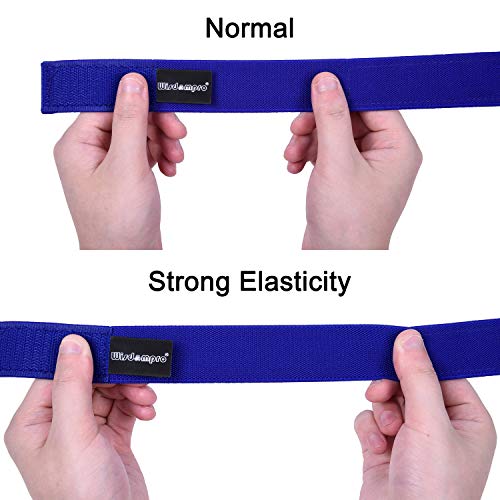 Wisdompro Cowboy Boot Straps, 2 Pcs Elastic Ankle Band Blousing Garter Blousers Lasso Pant Leg Clip for Biking, Fishing - 14 Inch Blue