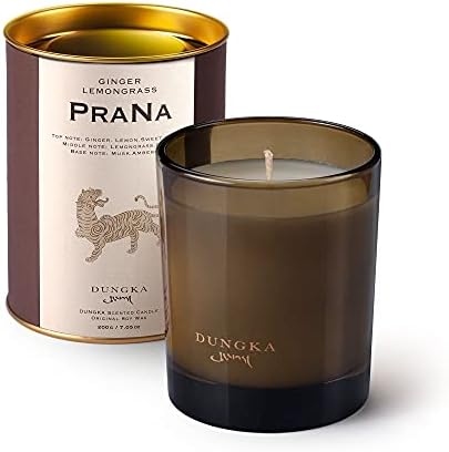Lemongrass & Ginger Scented Candles Natural Soy Wax Candles for Home Scented Fall Candles Stress Relief Meditation Aromatherapy Candle Christmas Candles Gifts for Women (Prana)