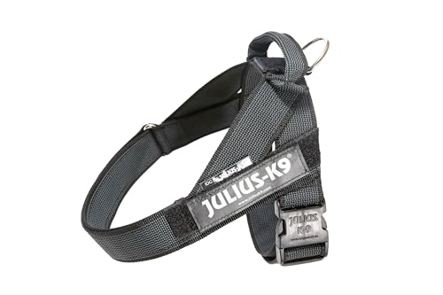Julius-K9 Pettorina a Fascia Color & Gray, Taglia 1, Nero/Grigio