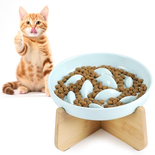 HAPPY HACHI Anti Schling Katzennapf Erhöht, Keramik Slow Feeder Katze Nassfutter, Langsam Fütterung Katze Futternapf rutschfest, Napf für Katzen und Kleine Hunde (Grün)