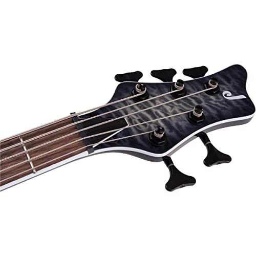 Jackson X Series 5-String Spectra Bass Sbxq V, Transparent Black Burst, Laurel Fingerboard #TOP7