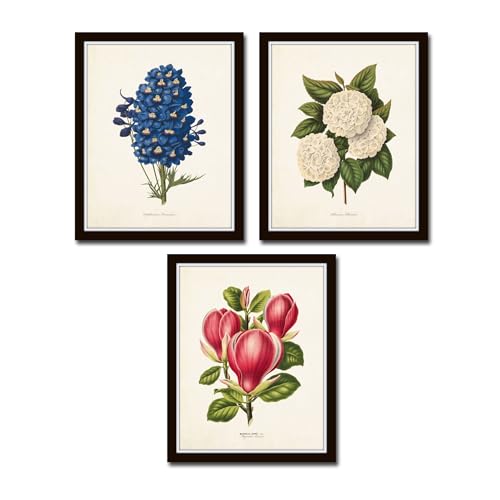 Belle Maison Art Botanical Garden No. 18, Vintage Botanical Wall