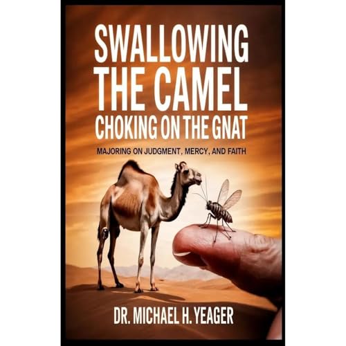 SWALLOWING THE CAMEL CHOKING ON THE GNAT - Michael Yeager episode artwork