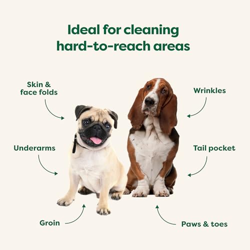 Earth Rated Wrinkle Wipes for Dogs, Perfect for Bulldogs and Pugs, to Cleanse Wrinkles and Folds, Wild Oat Scent, 60 Count - Thumbnail 4