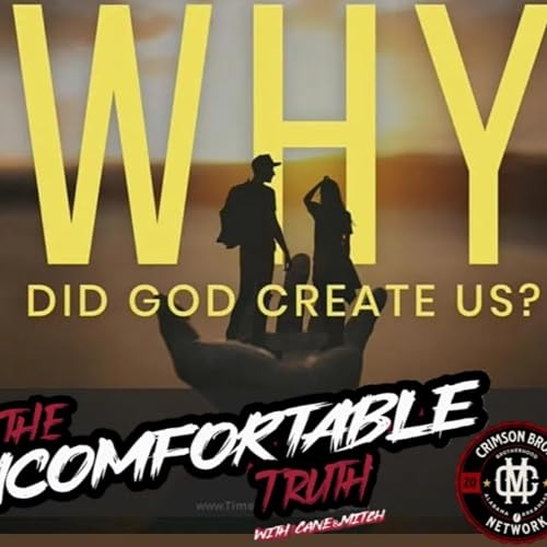Why did God create life? cover art