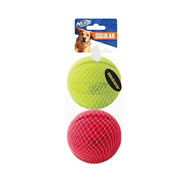 Nerf Dog Classic Ball Toy - Lightweight and Durable Fetch Toy for Dogs