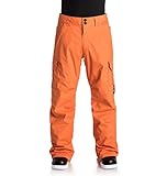 Herren Snowboard Hose DC Banshee Pants