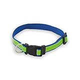 CON BANDA REFLECTANTE: Pasea tranquilamente a tu mascota por la noche. Este collar posee tira de alta visibilidad que refleja en la oscuridad, tanto para la seguridad de tu mascota como para la tuya