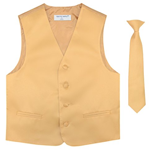 Image of Vesuvio Napoli BOY'S Dress Vest & NeckTie Solid PINK Color Neck Tie Set