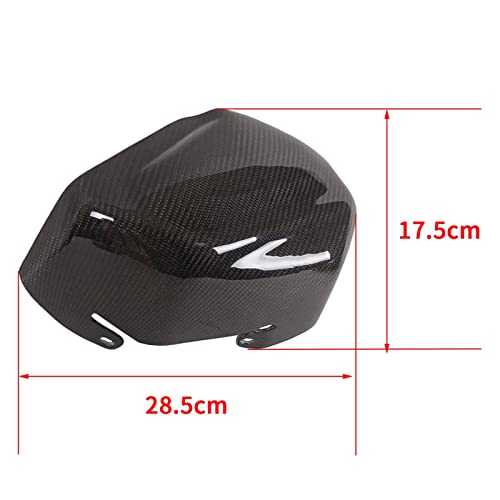 Modification moto pour BMW R1250GS avec ce couvercle moteur carbone - 2
