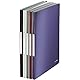 Leitz 39580094 Style Sichtbuch, satin schwarz, 20 Hüllen, 1 Stück (Packung mit 2)