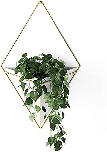 T J Hanging Planter Metal Vase & Geometric Wall Decor Container, White / Gold, 1 Pc-image-10