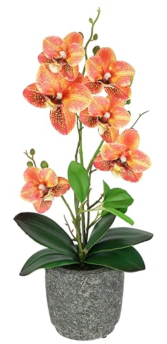 Kunstblume Schmetterling Orchidee 38cm mit Blätter und Luftwurzeln im Topf aus Keramik Künstliche Blume Kunstorchidee Phalaenopsis mit Übertopf Kunstpflanze Hochzeit Deko Seidenblume Real Touch Blüte
