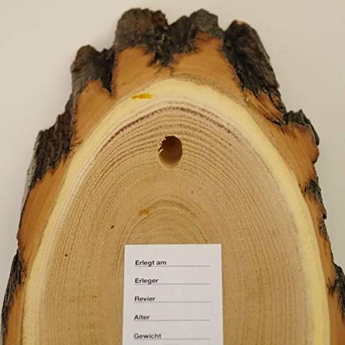 GTK - Geweihe & Trophäen KRUMHOLZ 10 carteles de madera de acacia REH para trofeos grandes de corzo, disco de árbol