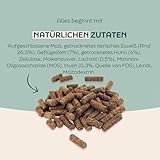 WOOOF Welpen 18kg kaltgepresstes Natürliches welpenfutter Hundefutter mit Rindfleisch | Trockenfutter, leicht verdaulich, ohne Weizengluten