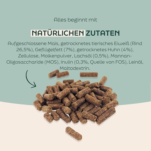 WOOOF Welpen 18kg kaltgepresstes Natürliches welpenfutter Hundefutter mit Rindfleisch | Trockenfutter, leicht verdaulich, ohne Weizengluten