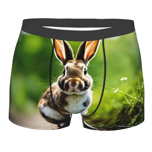 HDSKFNS Herren-Boxershorts mit Hasen-Motiv, weich, atmungsaktiv, bequem, stilvolle Unterwäsche für Herren, Schwarz, XL