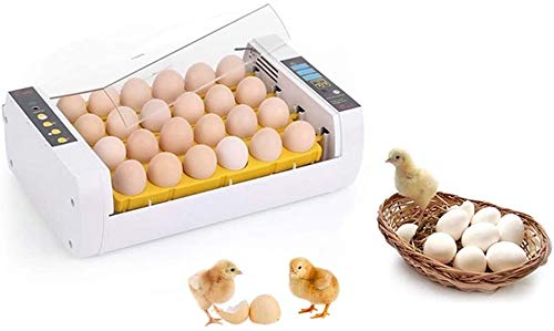 Egg Incubator Automatic Temperature Control Hatching 24 Eggs Poultry Reptile Hatcher for Ducks Chickens Goose Birds (Size : 220V)
