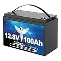 Elfhub 12V 100Ah LiFePO4 Lithium Battery, Upgraded 100A BMS, 10-Year Lifespan with Up to 15000 Cycles, Max. 1280Wh Energy,Perfect for RV, Solar, Trolling Motor