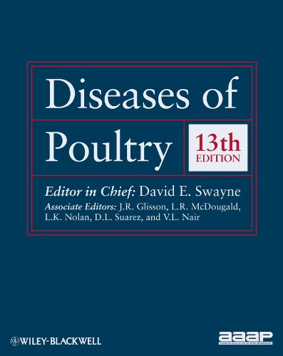 Diseases of Poultry (English Edition) Livre eBook France