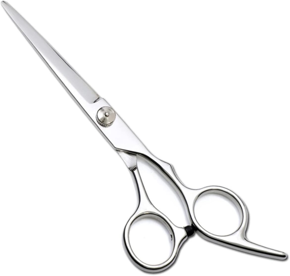 Hairdressing Scissors Kit Stainless Steel 6 Inch for Barber Salon