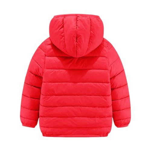 Girls Boys Puffer Jackets Winter Warm Windproof Hooded Padded Down Coats Solid Long Sleeve Zip Up Outerwear for Kids2