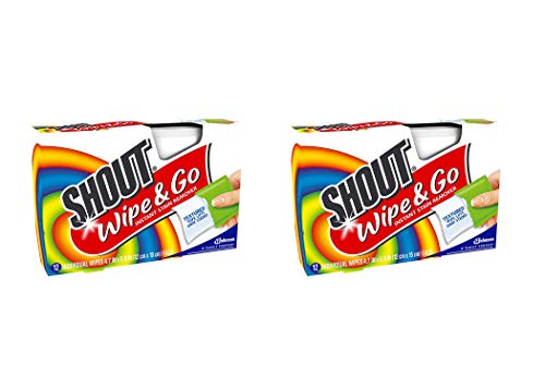 SHOUT Wipes - Portable Stain Treater Towelettes Pack of 2, 24 Wipes Count, Multicolor, Set of 2