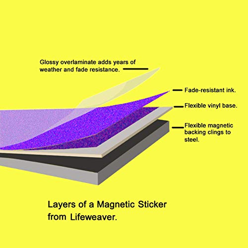 Vote Blue No Matter Who Bumper Sticker or Magnetic Bumper Sticker (Magnetic Bumper Sticker)