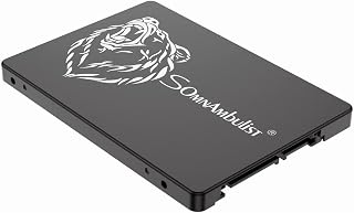 Somnambulist SSD 240GB SATA III 6GB/S Interno Disco sólido 2,5”7mm 3D NAND Chip Up To 520 Mb/s (Preto Urso-240GB)