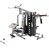 Multi Estação Pro Deluxe 204Kg Anilhas WCT Fitness Musculação Completa Treino Peito Perna Costa...