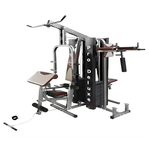 Multi Estação Pro Deluxe 204Kg Anilhas WCT Fitness Musculação Completa Treino Peito Perna Costa Supino Máquina Voador Barra Pulley Cadeira Extensora Banco Scott Legg Press Abdominal Paralela