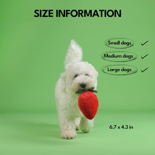 CHEWFFON Quietschende Plüschhundespielzeuge, Welpenspielzeuge, Erdbeer-Quietschspielzeug, Haltbare Hundespielzeuge mit robustem Nylonfutter, Stoffhundegeschenke für Kleine, Mittlere und Große Hunde