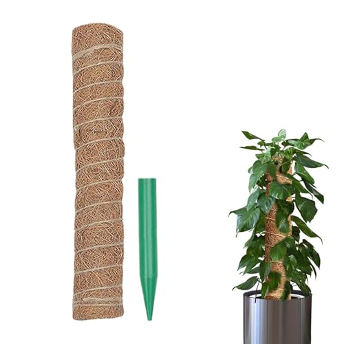 Générique TRDX4I77751DK9E5 Kokos-Moosstab Kletterhilfe