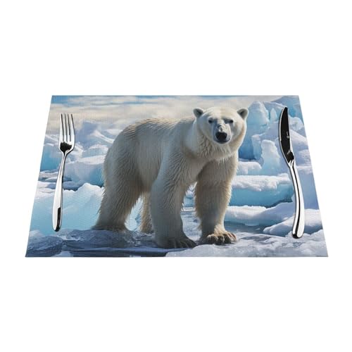 Sets de table antidérapants et résistants à la chaleur lot de 6 PVC - 6