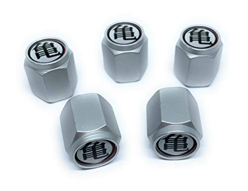 DBZ Letter Silver Caps DBZ Tire Valve Stem Caps (5 Pack) | Dust Proof, with O Rubber Seal | Outdoor,...