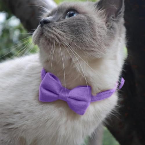 Schmetterling für Katzenhalsband – gleitende für Katzenhalsband, Fliege für Katzen für Hunde | vielseitiges Halsbandzubehör für kleine Haustiere