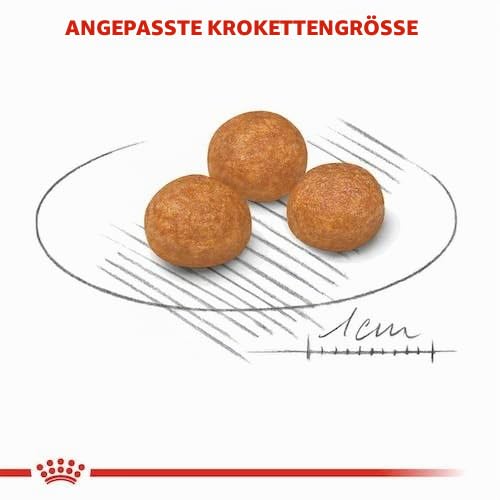 X-Small Adult | Trockenfutter für kleine ausgewachsene Hunde | 2 x 500 g – Ansicht 4