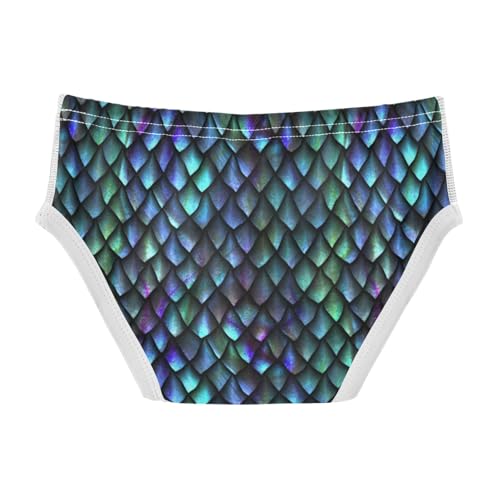 Boys' Exclusive Briefs Toddler Underwear 95% Combed Cotton Boxerbriefs 2T Scaly Texture Pattern 912